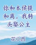 你和本侯提和离，我转头娶公主电子书