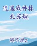 逍遥战神林夕