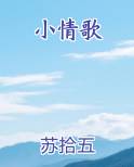 小情歌全文免费阅读